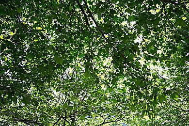 科幻惊悚游戏《飞向月球》次世代版延期发售